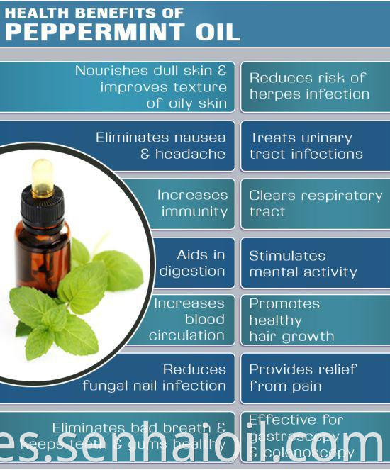 Aceite esencial certificado ISO Aceite de menta hidratado con el mejor precio